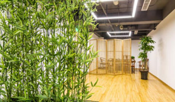 搭配綠植 搭配綠植